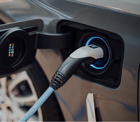 Proso Cars feature 2